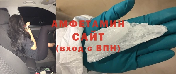 гидра Ельня