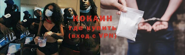 гидра Ельня
