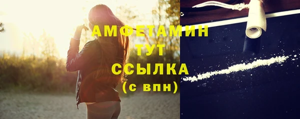 гидра Ельня