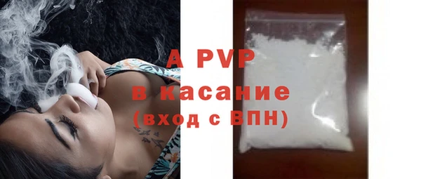 гидра Ельня