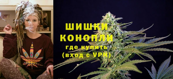 гидра Ельня