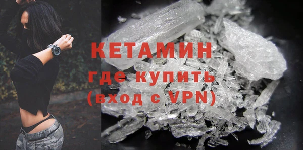 гидра Ельня