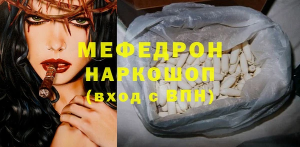 гидра Ельня