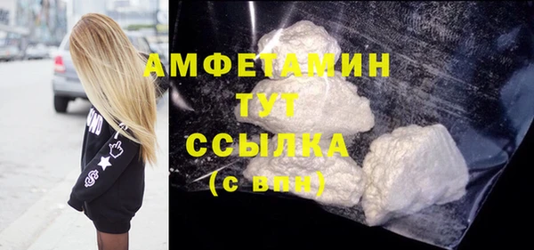 гидра Ельня