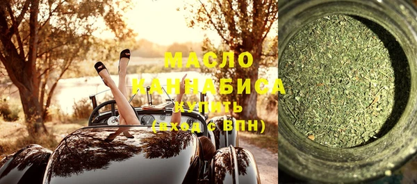 гидра Ельня